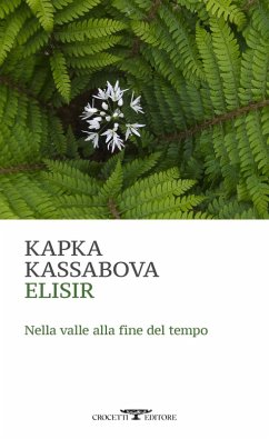 Cover Elisir. Nella valle alla fine del tempo