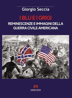 Cover I blu e i grigi. Reminescenze e immagini della guerra civile americana
