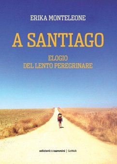 Cover A Santiago. Elogio del lento peregrinare