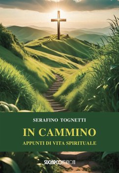 Cover In cammino. Appunti di vita spirituale