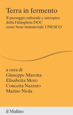 Cover Terra in fermento. Il paesaggio culturale e antropico della Falanghina DOC come bene immateriale UNESCO