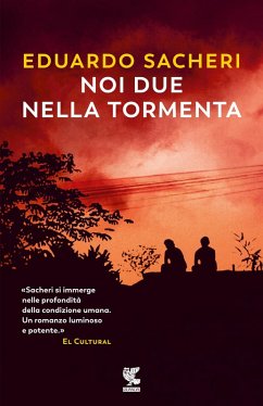Cover Noi due nella tormenta