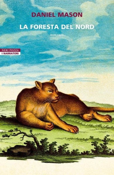 La foresta del Nord La foresta del Nord