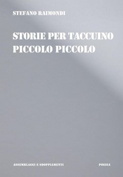 Storie per taccuino piccolo piccolo - Raimondi, Stefano