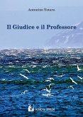 Il giudice e il professore