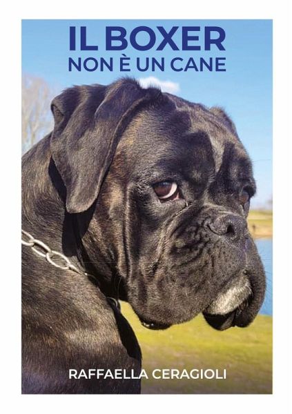 Il boxer non è un cane Il boxer non è un cane
