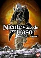 Cover Niente succede per caso