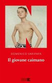 Il giovane caimano Il giovane caimano