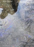 Bright Ecologies. Caretto/Spagna: experiences, forms, materials. Ediz. italiana e inglese Bright Ecologies. Caretto/Spagna: experiences, forms, materials. Ediz. italiana e inglese
