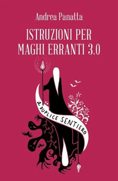 Cover Istruzioni per maghi erranti 3.0. Il duplice sentiero