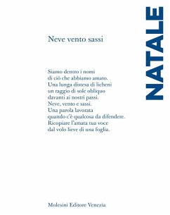 Cover Neve vento sassi