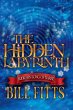 The Hidden Labyrinth - Bild 1