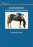 Alessandro, la storia del cavaliere narrante Alessandro, la storia del cavaliere narrante