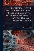 Description Of The Human Spines Showing Numerical Variation In The Warren Museum Of The Harvard Medical School