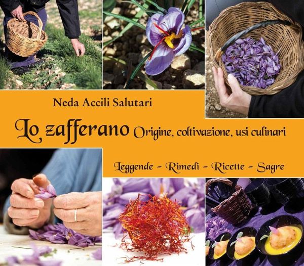 Lo zafferano. Origine, coltivazione, usi culinari Lo zafferano. Origine, coltivazione, usi culinari