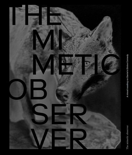 The Mimetic Observer. Immaginari della Divina Commedia di Dante The Mimetic Observer. Immaginari della Divina Commedia di Dante