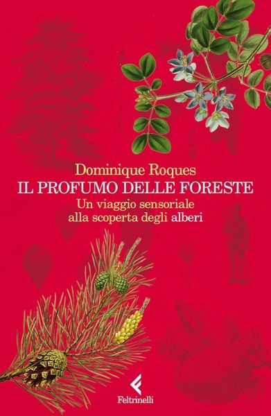Il profumo delle foreste. Un viaggio sensoriale alla scoperta degli alberi Il profumo delle foreste. Un viaggio sensoriale alla scoperta degli alberi