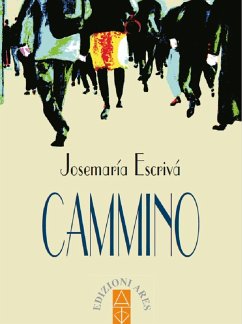 Cover Cammino