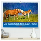 Die besonderen Haflinger-Pferde (hochwertiger Premium Wandkalender 2026 DIN A2 quer), Kunstdruck in Hochglanz Die besonderen Haflinger-Pferde (hochwertiger Premium Wandkalender 2026 DIN A2 quer), Kunstdruck in Hochglanz