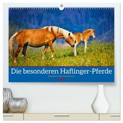 Die besonderen Haflinger-Pferde (hochwertiger Premium Wandkalender 2026 DIN A2 quer), Kunstdruck in Hochglanz - Calvendo;Irmer, Torsten