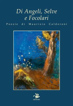 Di angeli, selve e focolari Cover Di angeli, selve e focolari