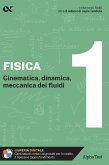 Cinematica, dinamica, meccanica dei fluidi Cinematica, dinamica, meccanica dei fluidi
