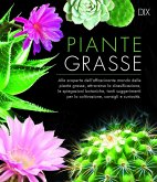 Piante grasse Piante grasse