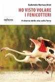 Ho visto volare i fenicotteri. Il ritorno della vita sulla Terra Ho visto volare i fenicotteri. Il ritorno della vita sulla Terra
