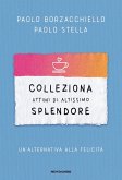 Colleziona attimi di altissimo splendore. Un'alternativa alla felicità Colleziona attimi di altissimo splendore. Un'alternativa alla felicità