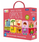 Impara i tuoi primi opposti. Steam puzzle