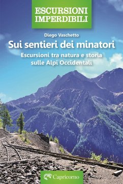 Sui sentieri dei minatori. Escursioni tra natura e storia sulle Alpi Occidentali - Vaschetto, Diego