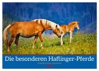 Die besonderen Haflinger-Pferde (Wandkalender 2026 DIN A2 quer), CALVENDO Monatskalender Die besonderen Haflinger-Pferde (Wandkalender 2026 DIN A2 quer), CALVENDO Monatskalender
