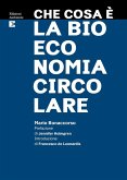 Che cosa è la bioeconomia circolare Che cosa è la bioeconomia circolare
