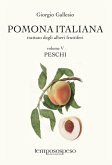Peschi Peschi