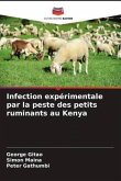 Infection expérimentale par la peste des petits ruminants au Kenya