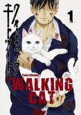 Walking Cat 1