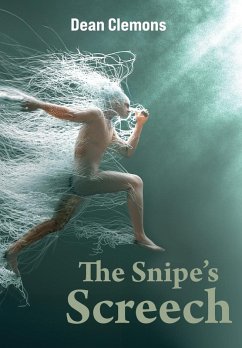 Cover The Snipe's Screech