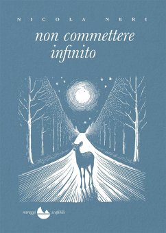 Non commettere infinito - Neri, Nicola