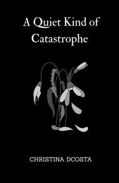 A Quiet Kind of Catastrophe Cover A Quiet Kind of Catastrophe