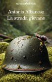 La strada giovane La strada giovane