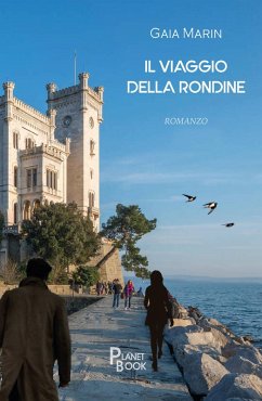 Cover Il viaggio della rondine