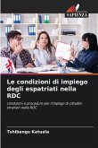 Le condizioni di impiego degli espatriati nella RDC Le condizioni di impiego degli espatriati nella RDC