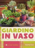 Giardino in vaso sul balcone e terrazzo Giardino in vaso sul balcone e terrazzo