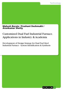 Customized Dual Fuel Industrial Furnace. Applications in Industry & Academia (eBook, PDF)