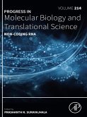 Non-coding RNA (eBook, ePUB)