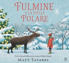 Cover Fulmine e la stella polare
