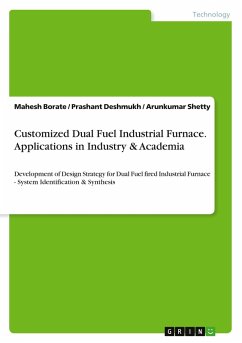 Customized Dual Fuel Industrial Furnace. Applications in Industry & Academia