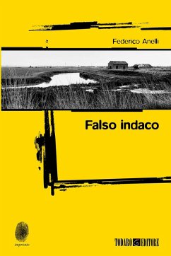 Cover Falso indaco