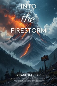 Cover Into the Firestorm (eBook, ePUB)