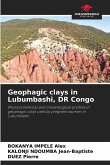 Geophagic clays in Lubumbashi, DR Congo